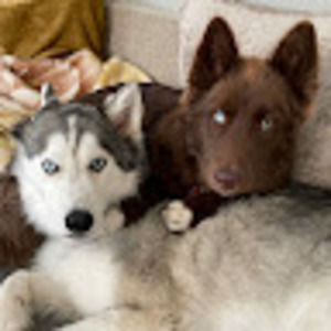 Meet your Posher, Aleks